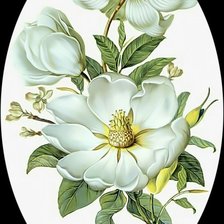 Схема вышивки «Цветы.»