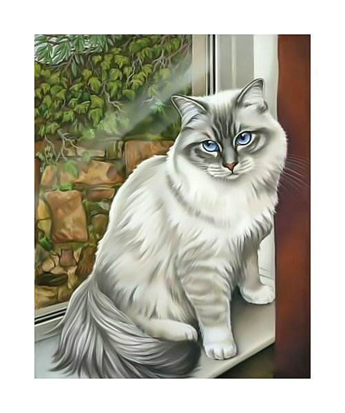 Кошечка на окне. - кошка, животные., окно, кот - оригинал