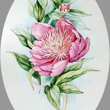 Схема вышивки «Пион.»