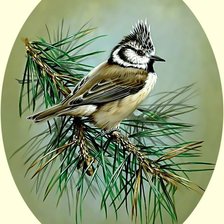 Схема вышивки «Птичка на веточке.»