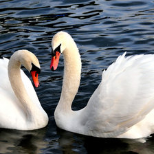 Схема вышивки «лебеди»