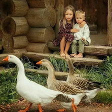 Схема вышивки «535»