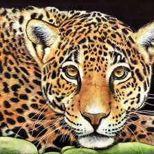 Схема вышивки «№1954387»