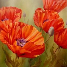 Схема вышивки «Маки»