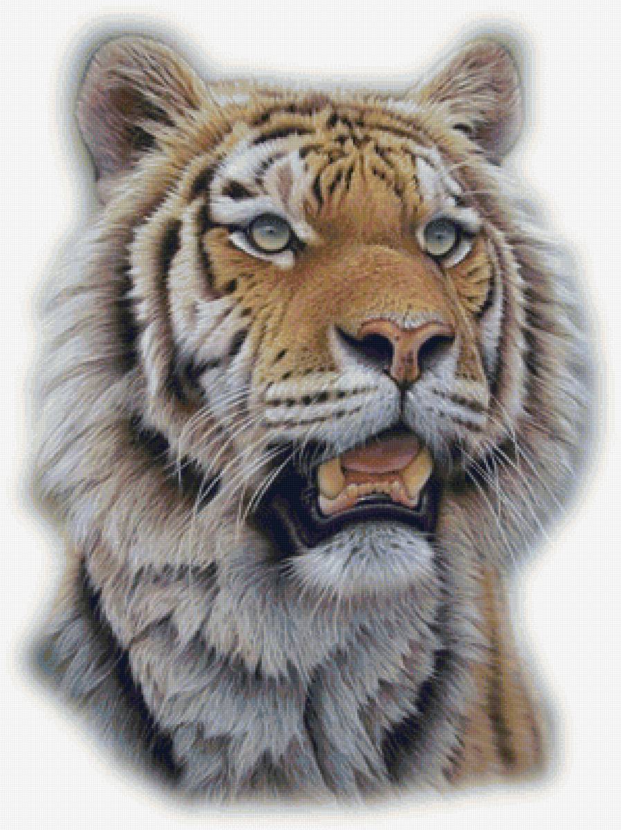 дикие - хищник.дикая кошка.тигр. - предпросмотр