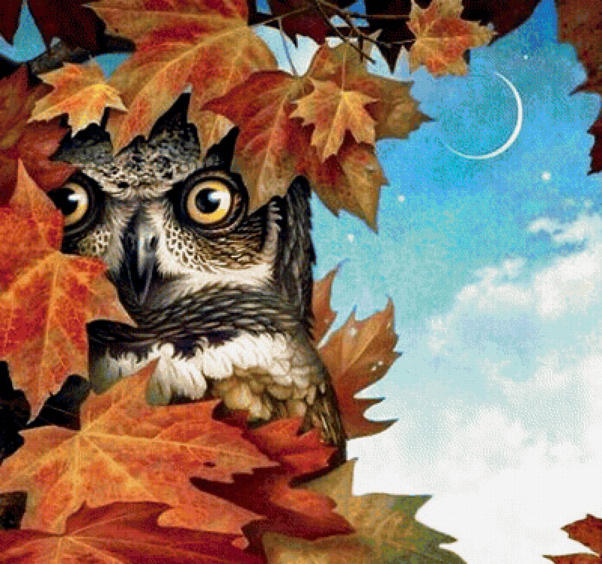 Сова. - лес., осень, сова, птица, хищник - предпросмотр