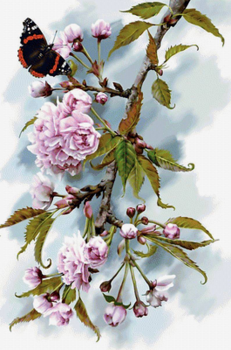 Цветы и бабочка. - ветка, цветы, бабочка. - предпросмотр