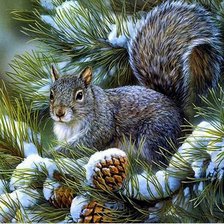 Схема вышивки «Orav»