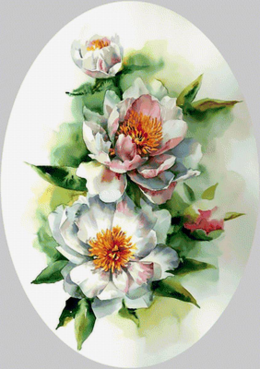 Цветы акварель. - акварель., цветы - предпросмотр