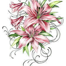 Схема вышивки «Розовая лилия.»