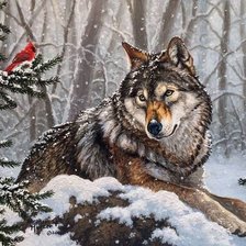 Схема вышивки «дикие»