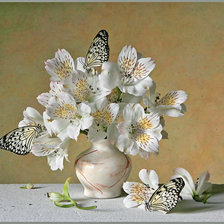 Схема вышивки «№1955095»