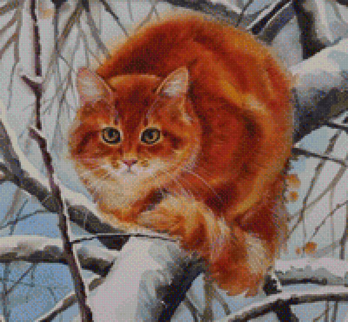 Рыжий кот - предпросмотр