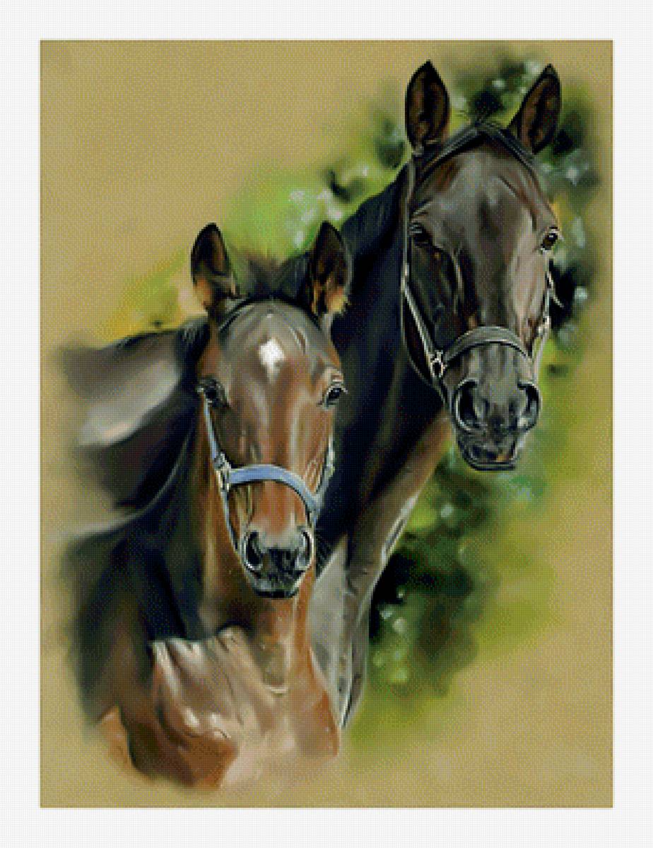 Лошади. - кони, животные., лошади - предпросмотр