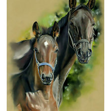 Схема вышивки «Лошади.»