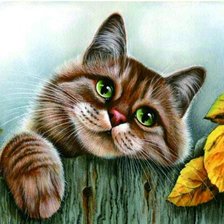 Кот на заборе