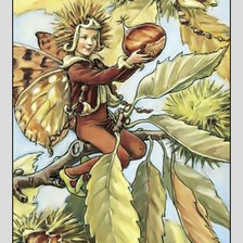 Схема вышивки «Феечки от Марджолен Бастин.»