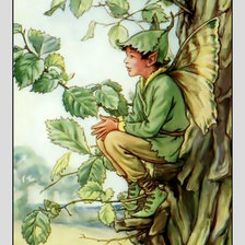 Схема вышивки «Феечки от Марджолен Бастин.»