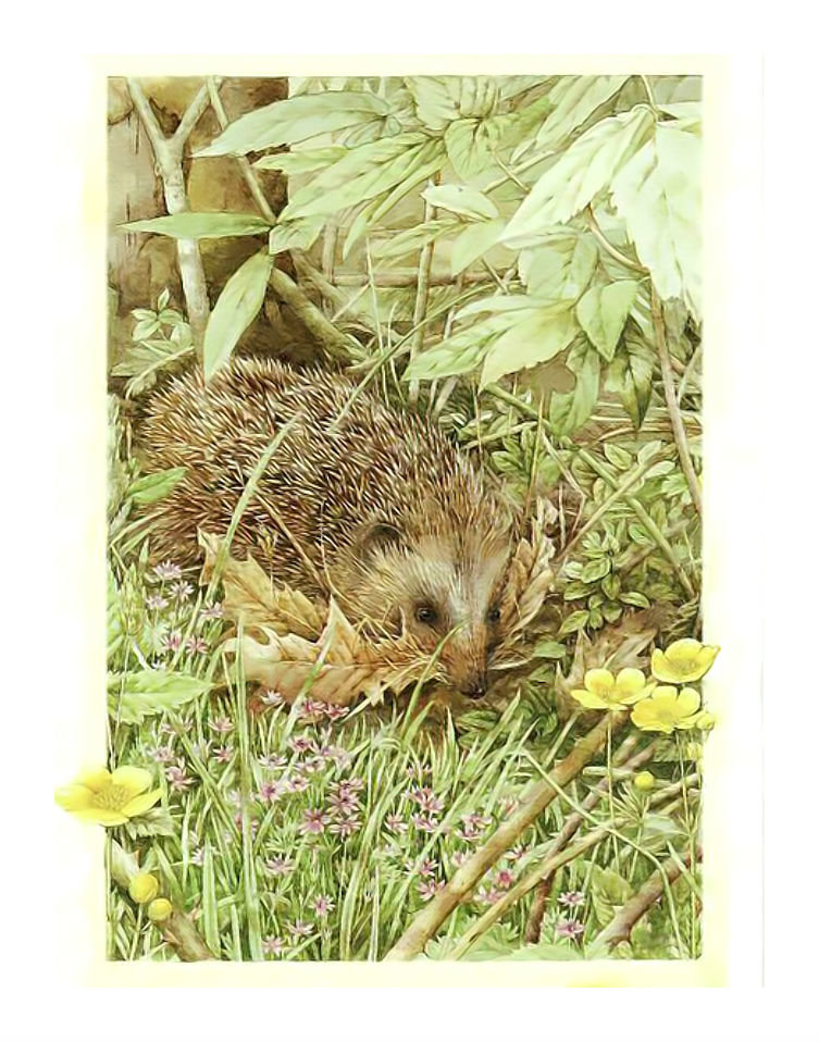 Ёж в осеннем лесу. - листва, природа., осень, еж - оригинал