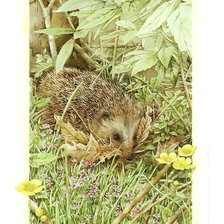 Схема вышивки «Ёж в осеннем лесу.»