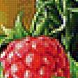 Предпросмотр схемы вышивки «Фрукты-ягоды.» (№1955420)