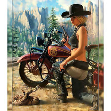 Схема вышивки «Мир Дикого Запада.»