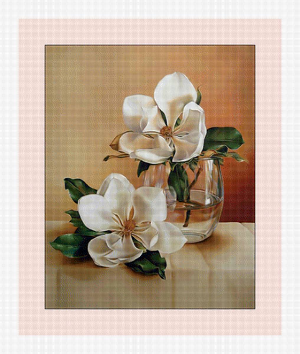 Магнолии. - белая., цветы, магнолия - предпросмотр