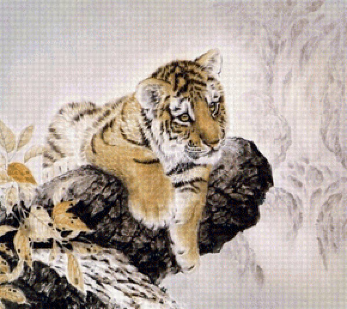 Тигрёнок - предпросмотр