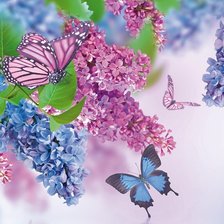 Схема вышивки «Бабочки»