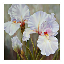 Схема вышивки «Нежные ирисы.»