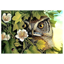 Схема вышивки «Сова.»