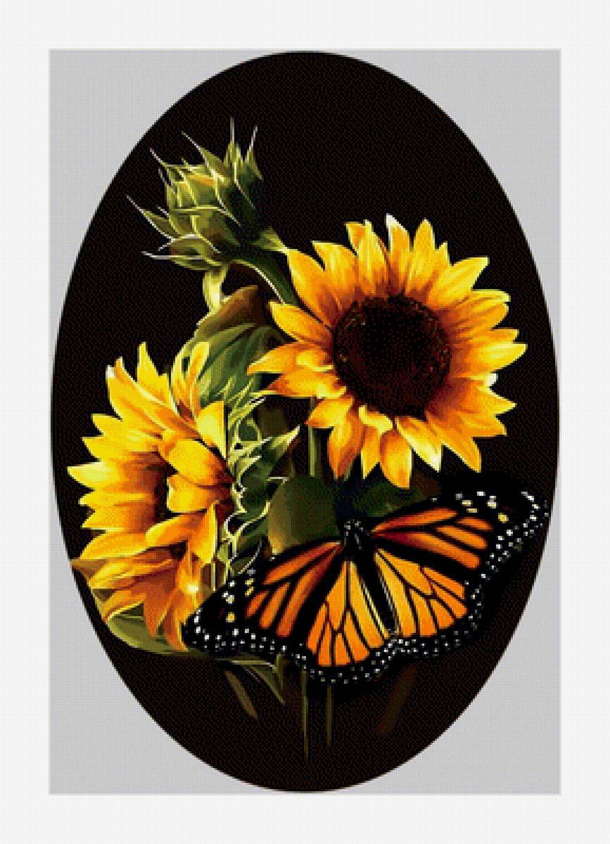 Бабочка. - цветы, бабочка, подсолнухи. - предпросмотр