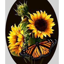 Схема вышивки «Бабочка.»