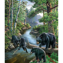 Схема вышивки «Мишки на реке.»