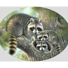 Схема вышивки «Енотики.»