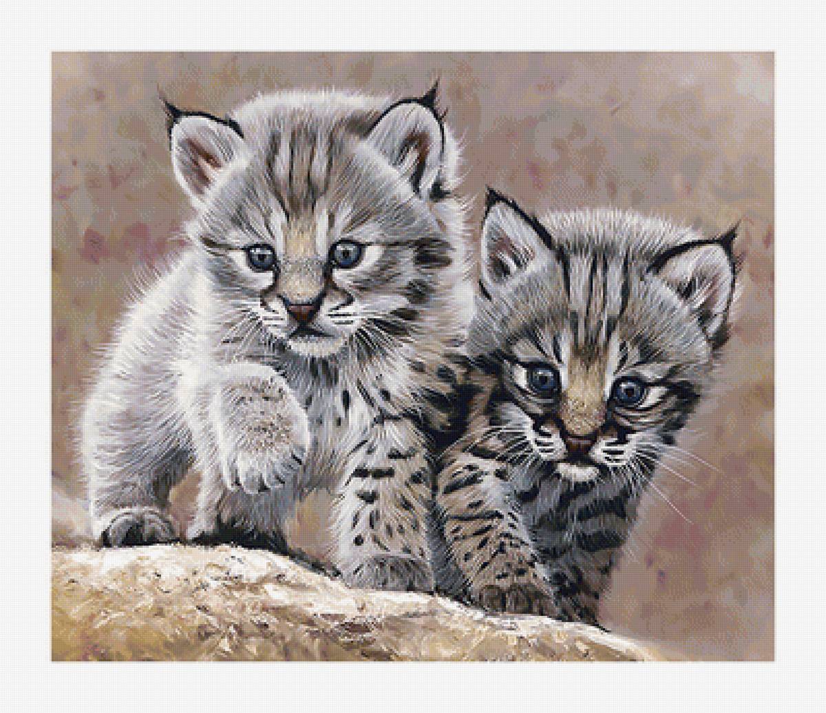 Серия "Хищники". - животные, хищники - предпросмотр