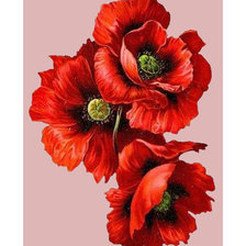 Схема вышивки «Красные маки.»