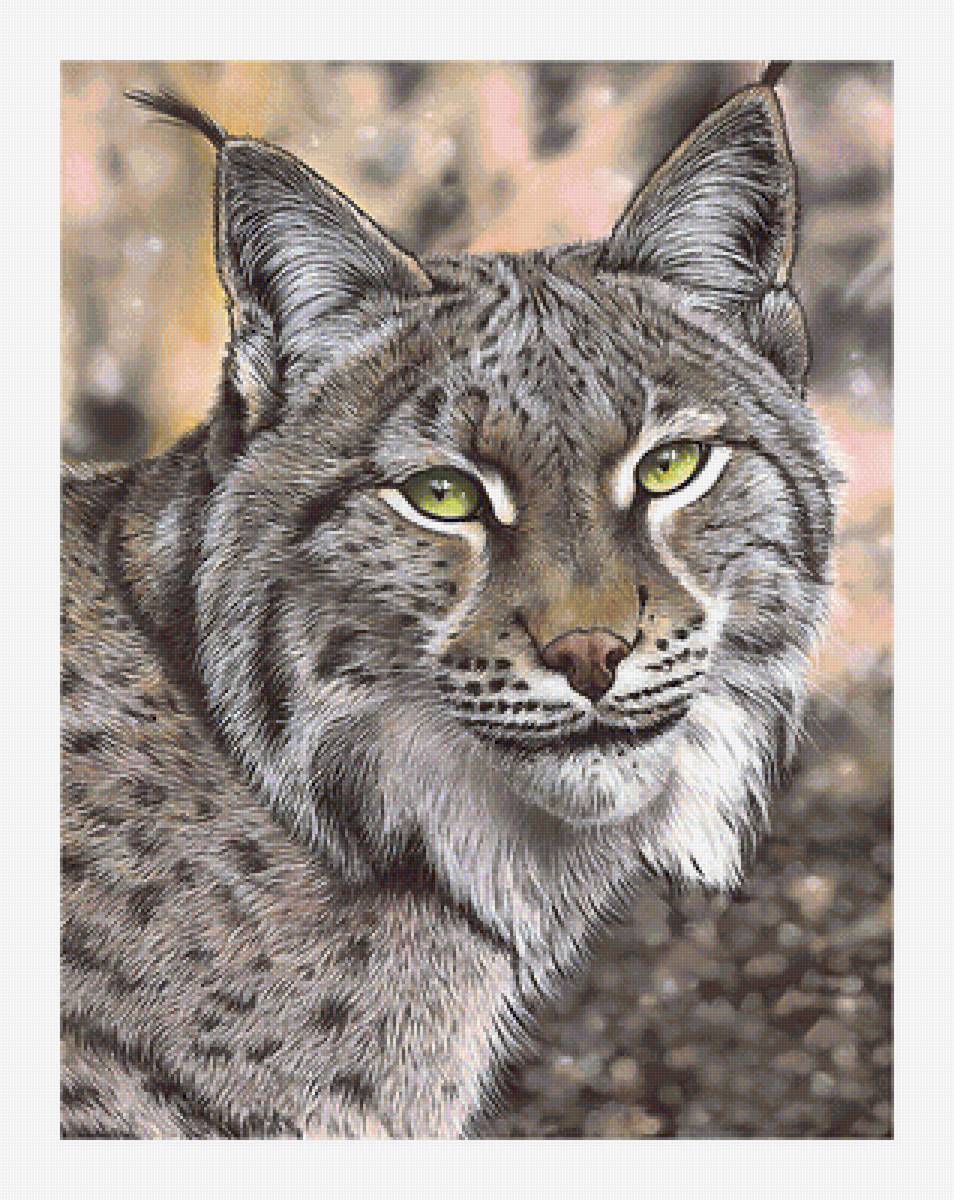 Серия "Хищники". Рысь - рысь, хищники, животные - предпросмотр