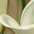 Предпросмотр схемы вышивки «Каллы от Игоря Левашова.Панелька.» (№1955948)