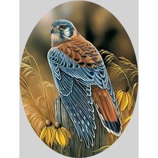 Схема вышивки «Сокол.»