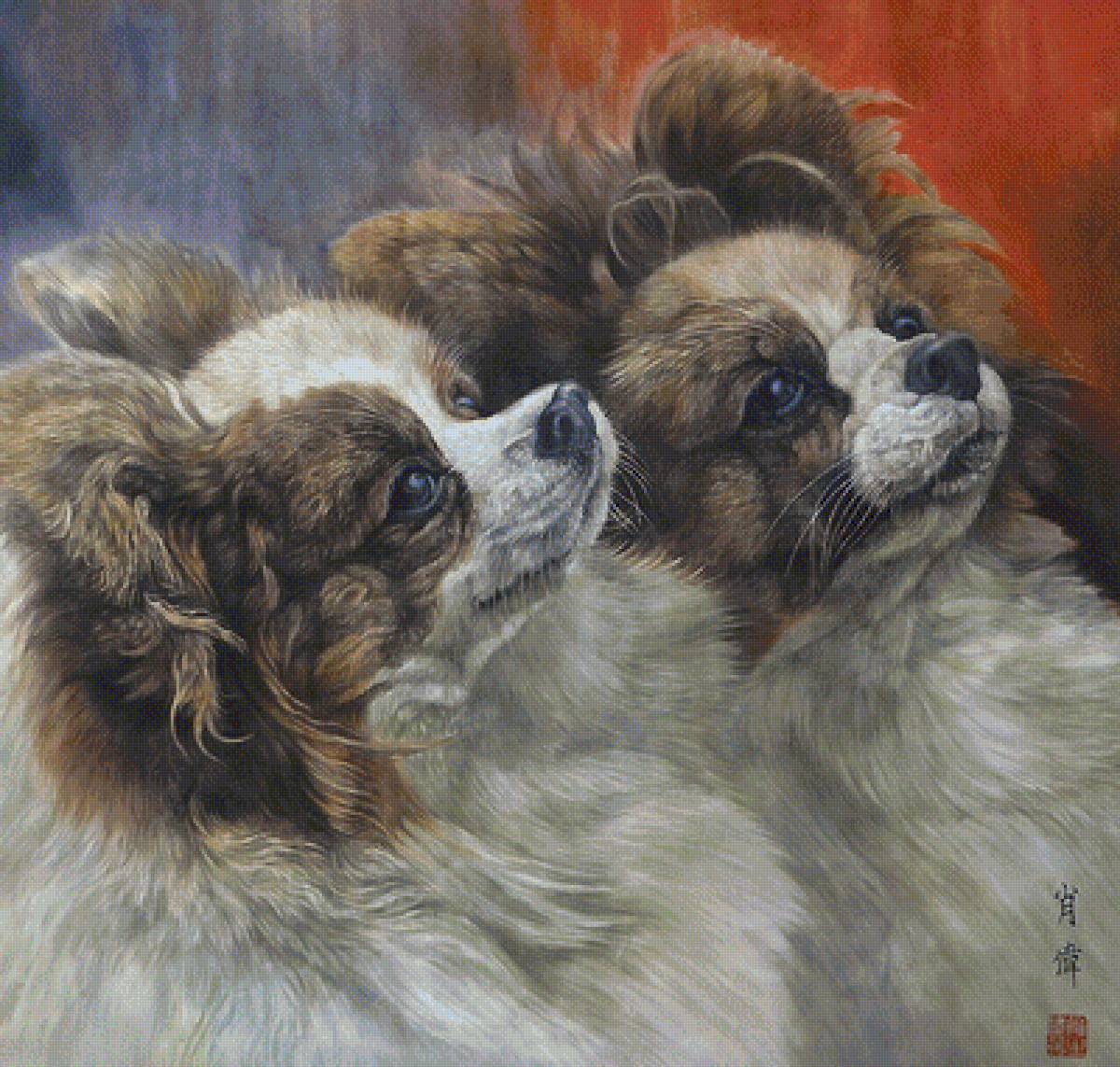 собаки - собаки - предпросмотр