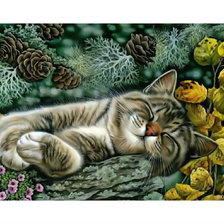 Схема вышивки «Спящий котик.»