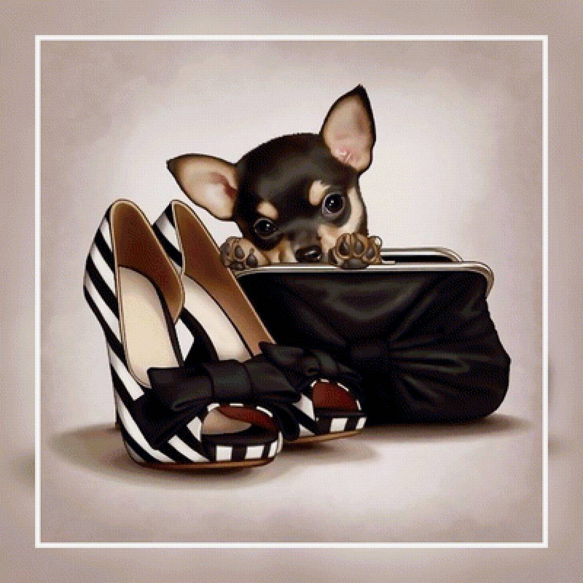 №1956015 - собаки, животные - предпросмотр