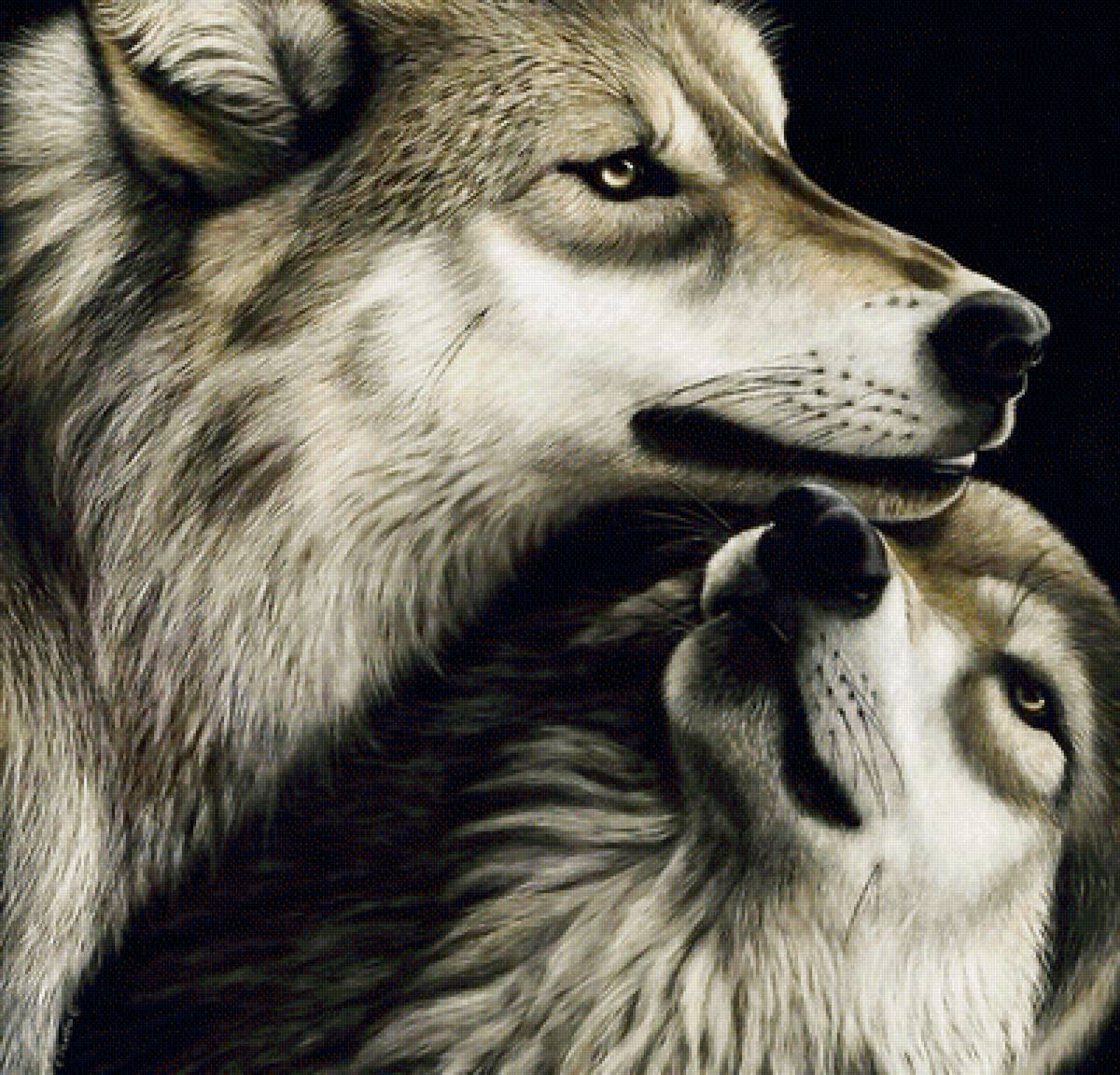 №1956019 - хищники, волки, животные - предпросмотр