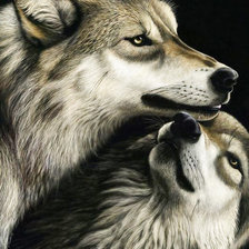 Схема вышивки «№1956019»