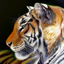 Схема вышивки «№1956067»