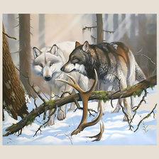 Схема вышивки «Волки. Пара.»