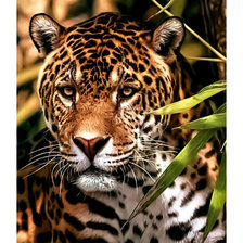 Схема вышивки «Леопард.»