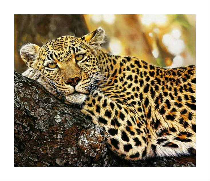 Леопард. - хищник., леопард - оригинал