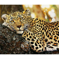 Схема вышивки «Леопард.»